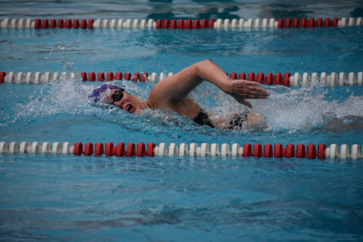 Ferry Aquatic Club Dominates Own Invite News, Sports, Jobs The